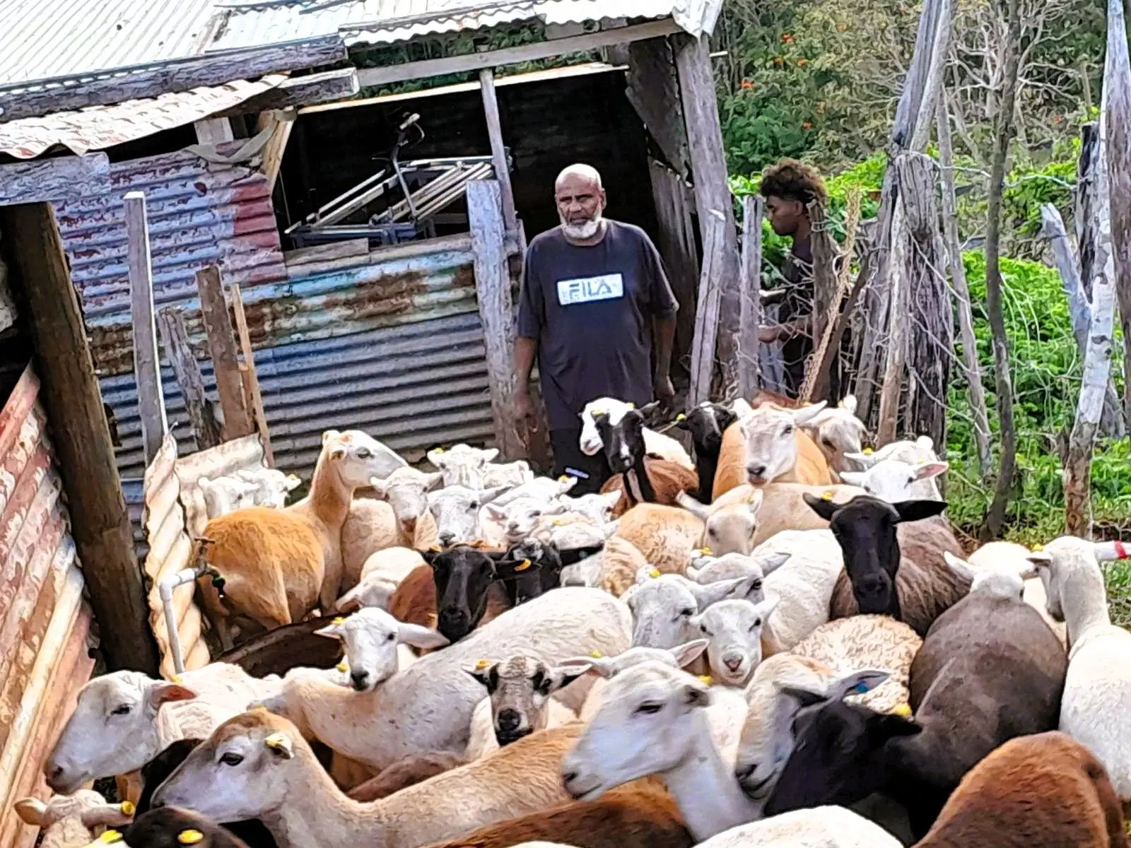 Livestock theft, security enhancement, cctv
