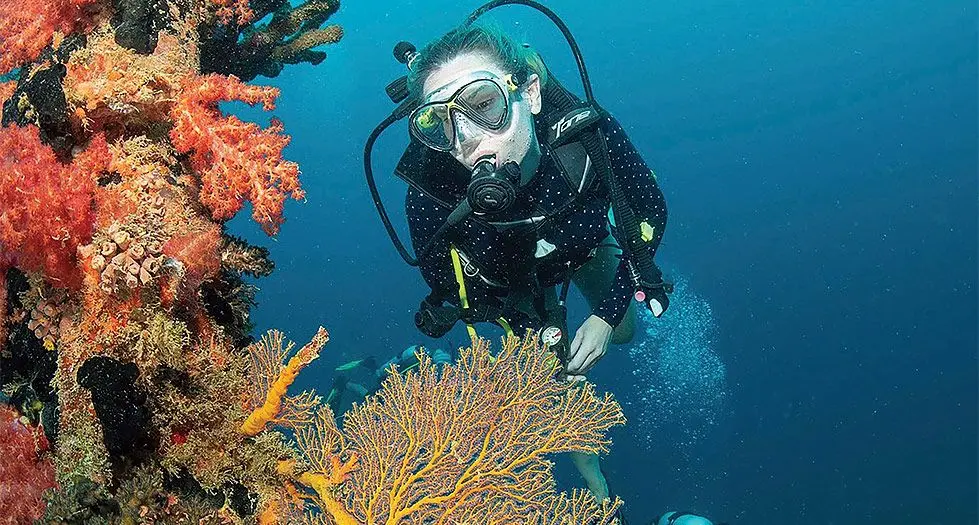 A diver swims near coral reefs at Totoya, Lau.