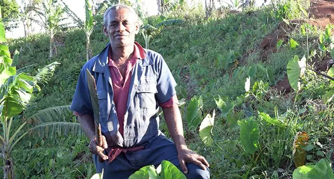 Award-winning farmer, Konalevulevu Tobesoisoi, in Tailevu on July 8, 2019. Photo: DEPTFO News