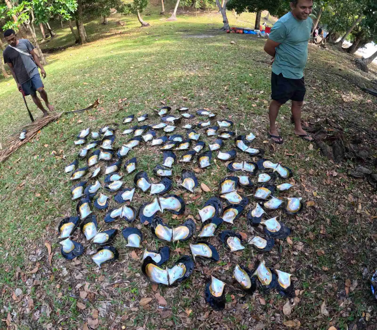 pearl farming