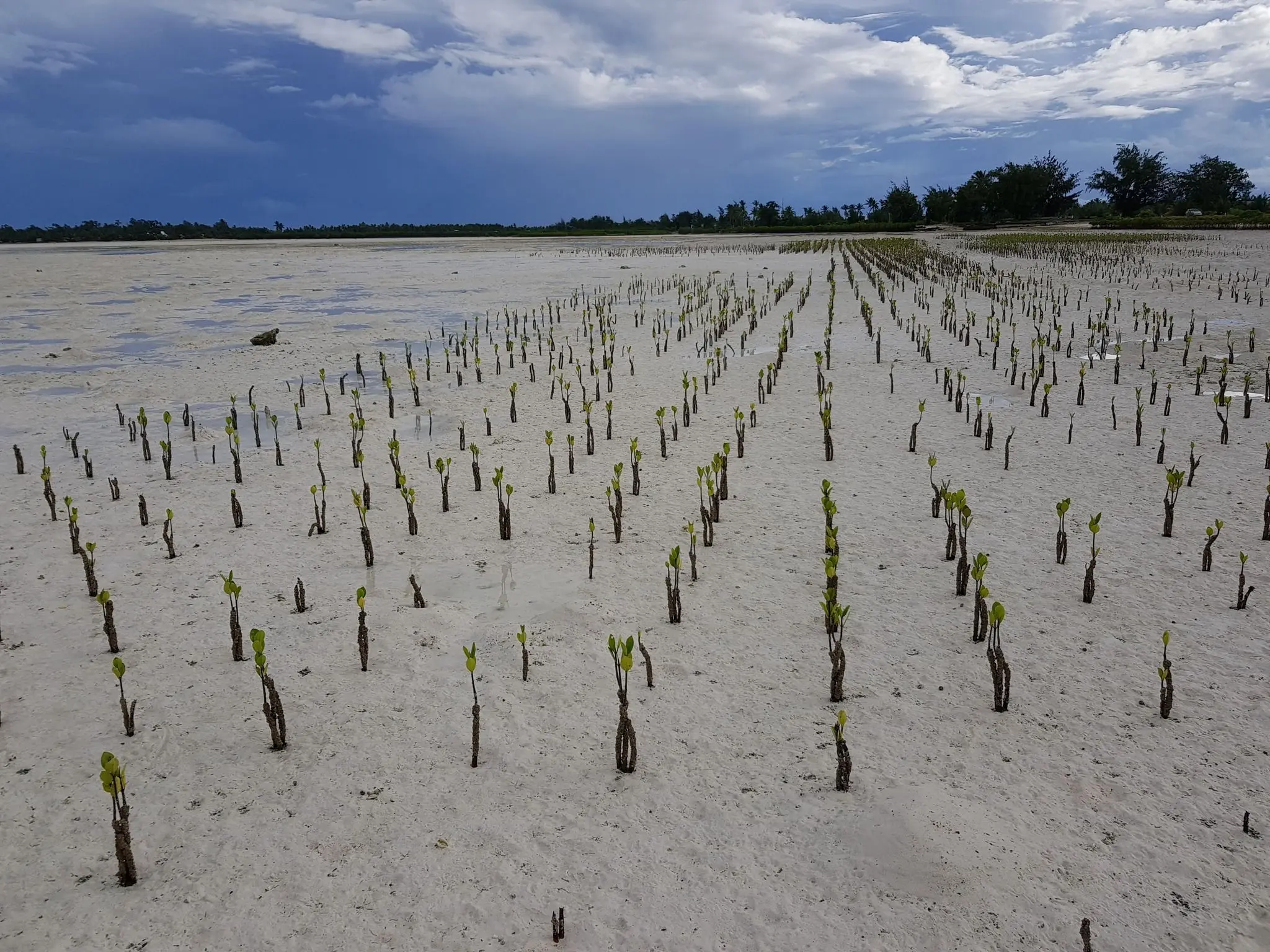 Climate adaptation project to benefit 14 coastal communities