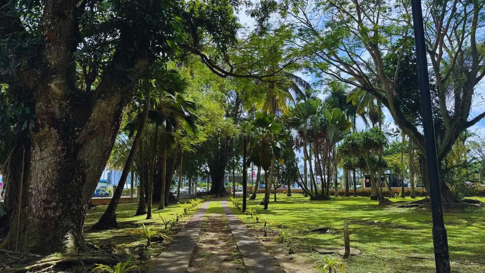 Walking paths 