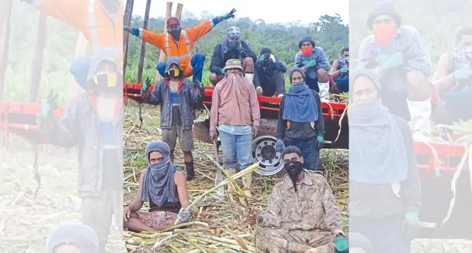 Labourers and members of a sugarcane harvester group in Nanenivuda Village, Seaqaqa, prepare for the new crushing season.  Photo: Sampras Anand