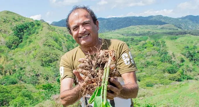 Article-Key-Image-turmeric