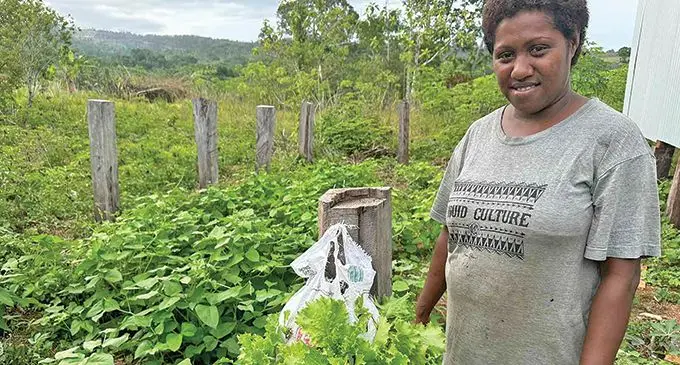 Namuavoivoi Youth Group leader Mere Mira at her farm in Bua on November 9, 2023.