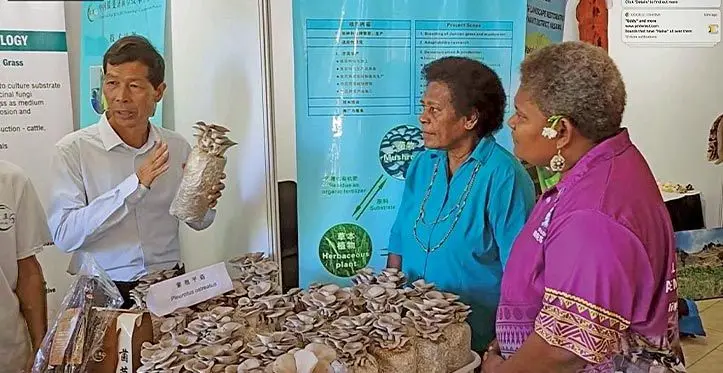 China has launched multiple agricultural technical assistance projects in these countries, including Samoa and Fiji. Photo: Xinhua