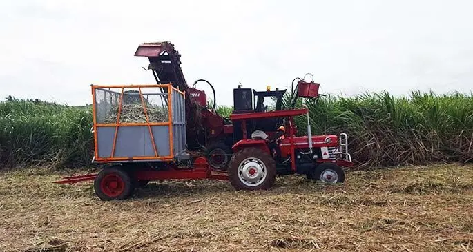 Cage bins piloted in Nubu, Wainikoro in the Northern Division on June 18,2020.. Photo: Fiji Sugar Coporation
