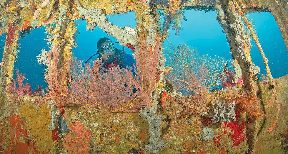A diver explores the coral reefs of Totoya in the Lau group.