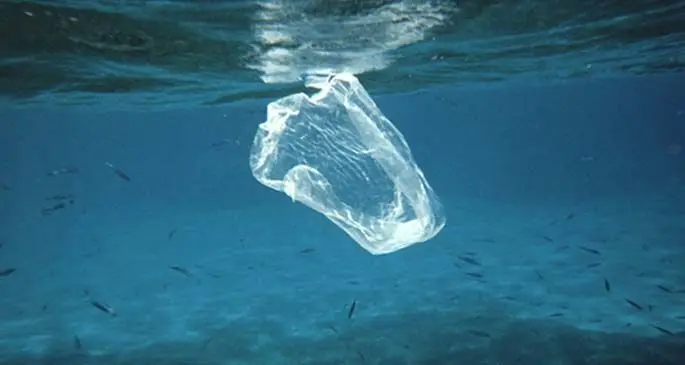 marine pollution