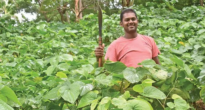 Atish Prasad benefitting from his farms. Photos: Ministry of Agriculture