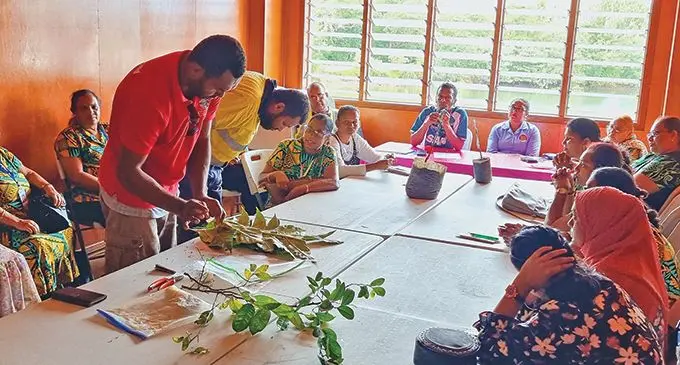 Ministry of Agriculture’s Seaqaqa Research Station, Usenio Akuila, and an assistant training the Northern Horticulture Association (NHA) members the basics of marcoting and grafting in Labasa on June 1, 2023. Photo: Sampras Anand