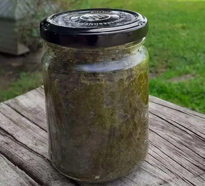 Kanamoce Fiji coconut pesto.