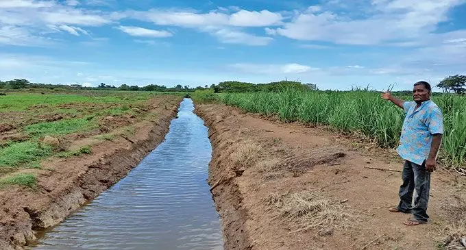 A farmer at his sugarcane farm