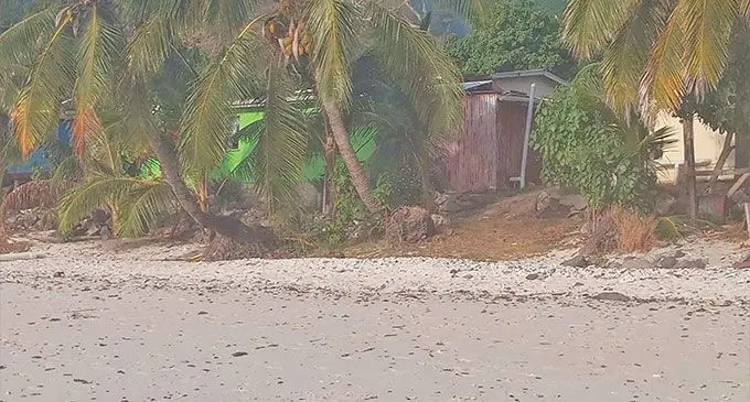 The coastline at Daku Village in Kia Island, Macuata.