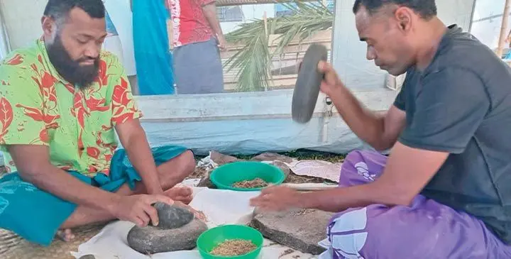 Ko rau na cauravou ka rau tuki vatu-ruataka tiko na mena yaqona ko Tui Cicia ena koro ko Tubou mai Lakeba, Lau ena ika 17 ni Jiulai, 2025. Veitaba: Susana Yalikanacea