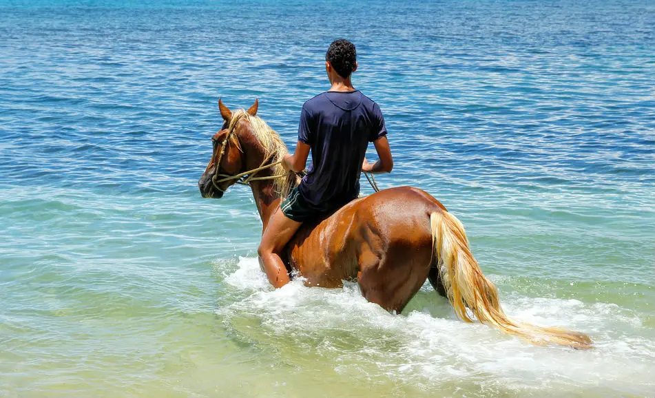horse-riding
