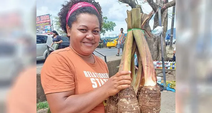 Usenia Susu selling dalo in Labasa market on November 10, 2023. Photo: Shratika Naidu