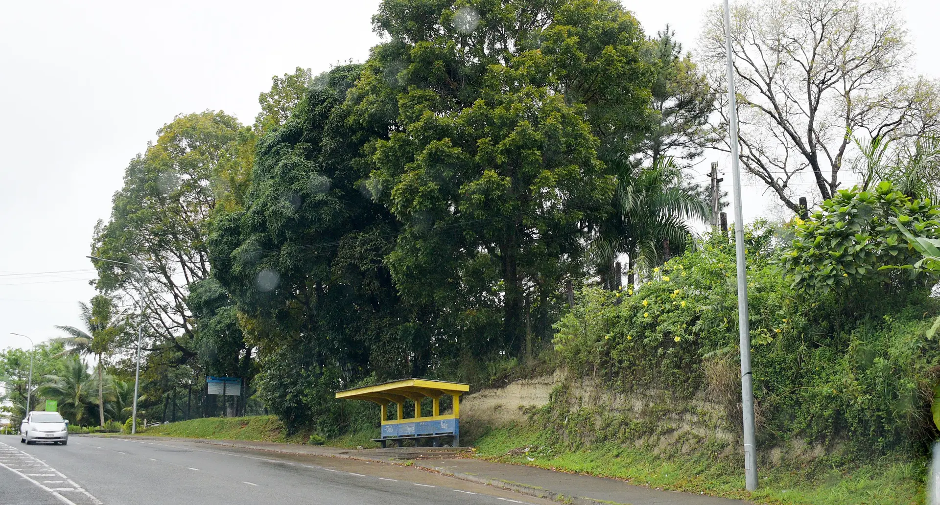 The bus shelter area near Fiji National University Nasinu Campus rear gate is usually dark at night.  Photo: Ronald Kumar.