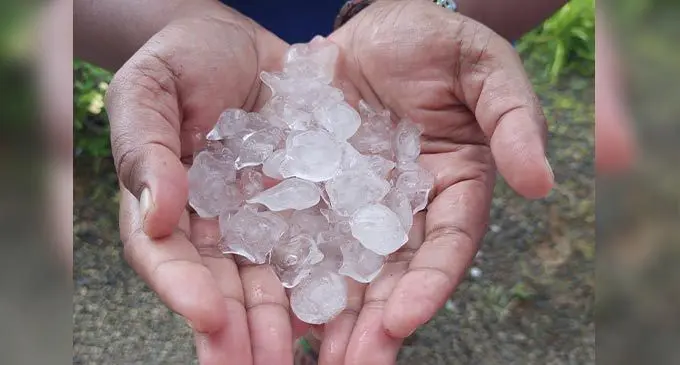 A teacher of a school in Mokani, Bau, holding on to hail that fell yesterday. Photo: Meme Soko