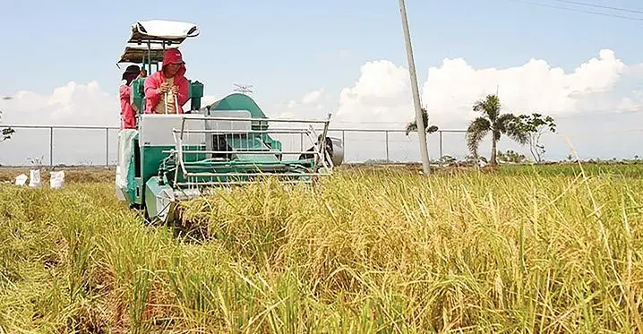 Fiji imports 43, 000 tonnes of rice annually with a value of $39 million.