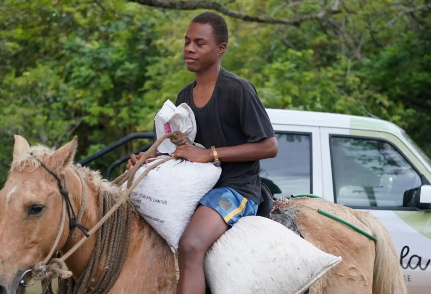 Fiji coffee heads to London to enter global speciality market