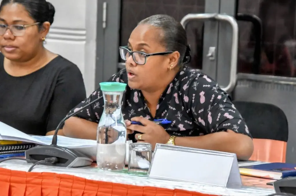 Municipal and General Elections set to make 2026 a big voting year