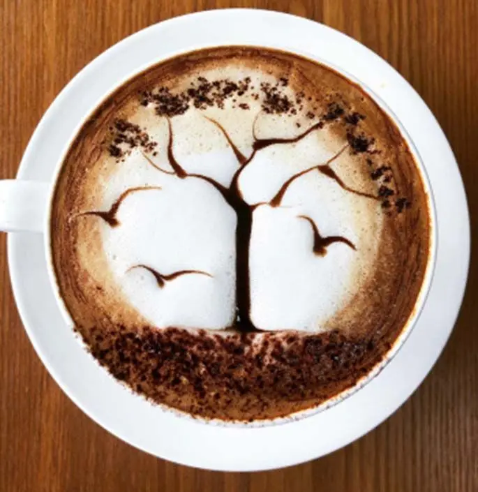 Coffee at the Republic of Cappuccino (ROC) Suva.