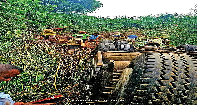 The scene of the accident at Waisali Hill, Savusavu, on February 21, 2024. Photo: Jone Salusalu One of the vehicles involved in the three vehicle collision at the Emuri junction near Vatudradra in Sigatoka on February 20, 2024. Photo: Fiji Police Force 12- wheeler cargo truck veered off the road about 200 metres down a steep slope. The firefighters found and rescued the driver trapped inside the truck. The vehicle