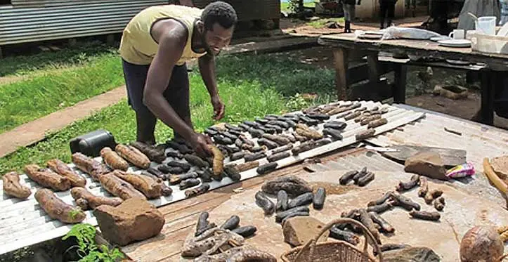 The harvesting season of beche-de-mer or sea cucumbers is from July to December, annually. File Photo