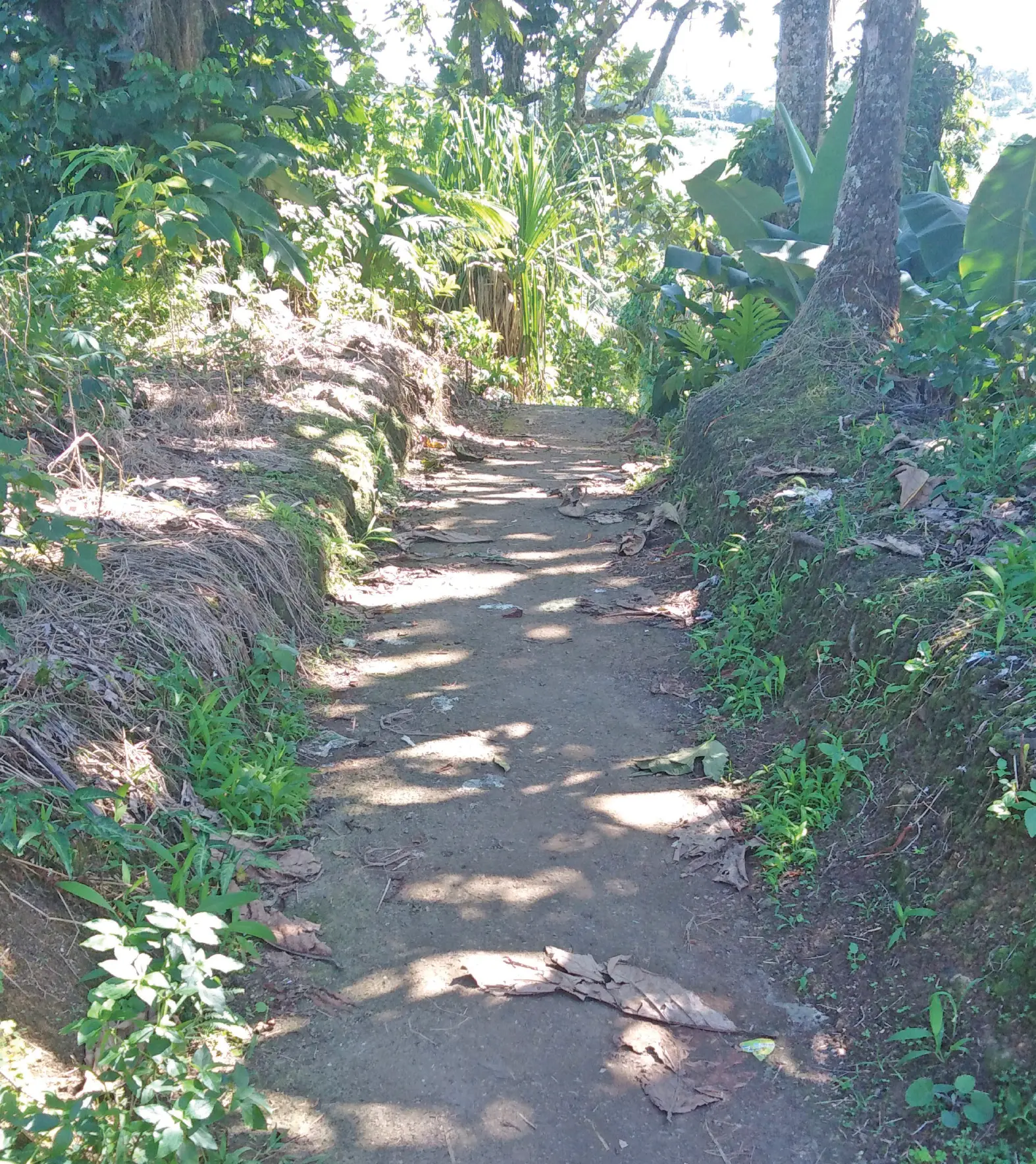 The shortcut at the end of the roundabout at Cakacaka Road in Caubati. Photo: Shreeya Verma