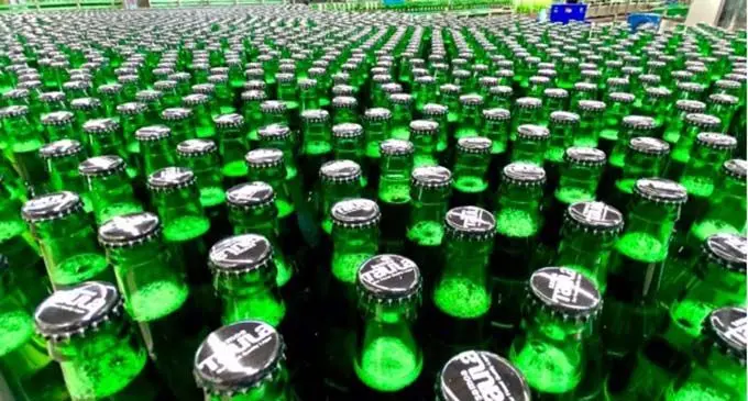 Taula beer Samoa success story.