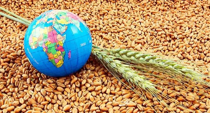 The price of wheat shot up immediately after Russia attacked its neighbour - and now Ukraine is struggling to get its wheat out of the country.
