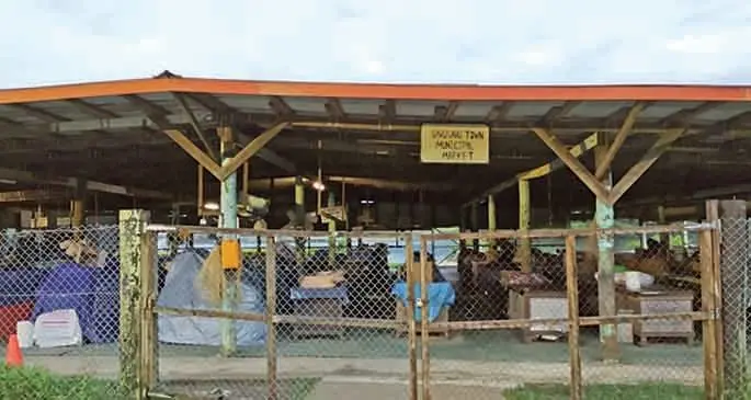 The Savusavu Municipal Market in Savusavu, Vanua Levu. Photo: Ivamere Nataro