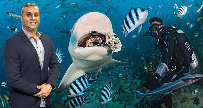 Shark diving offered in Beqa Lagoon. Inset: Alvin Singh.