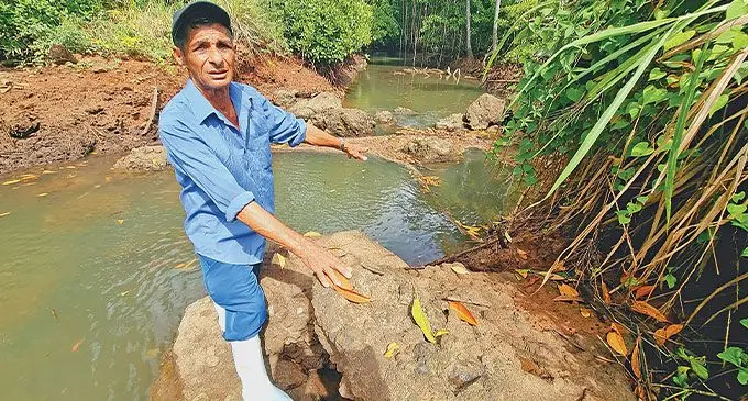 Rice farmer Shiu Prasad, 77, at the location where the floodgate should be constructed to reduce salt-water intrusion on May 21, 2024. Photo: Sampras Anand