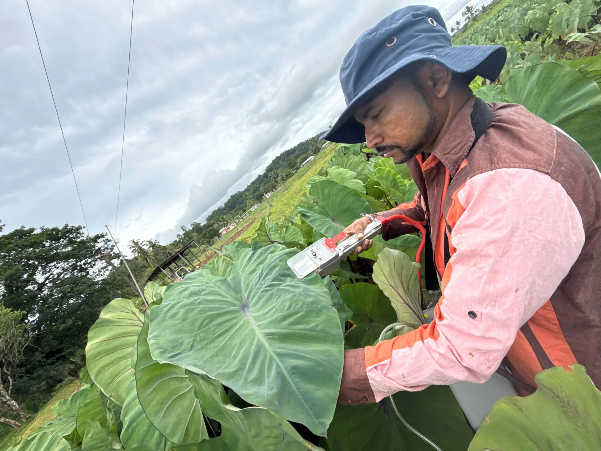 agri