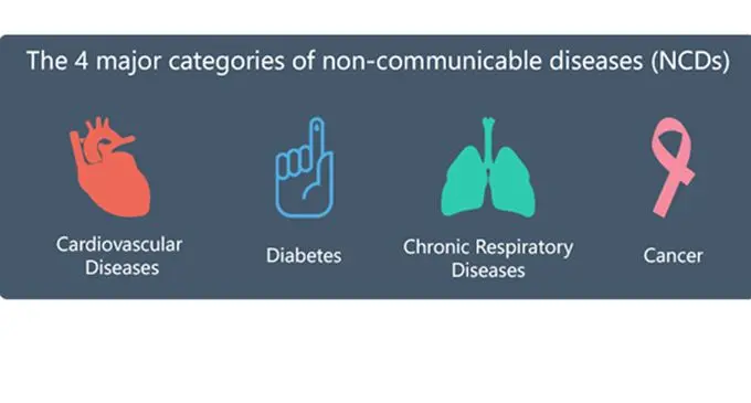 Types of NCDs.
