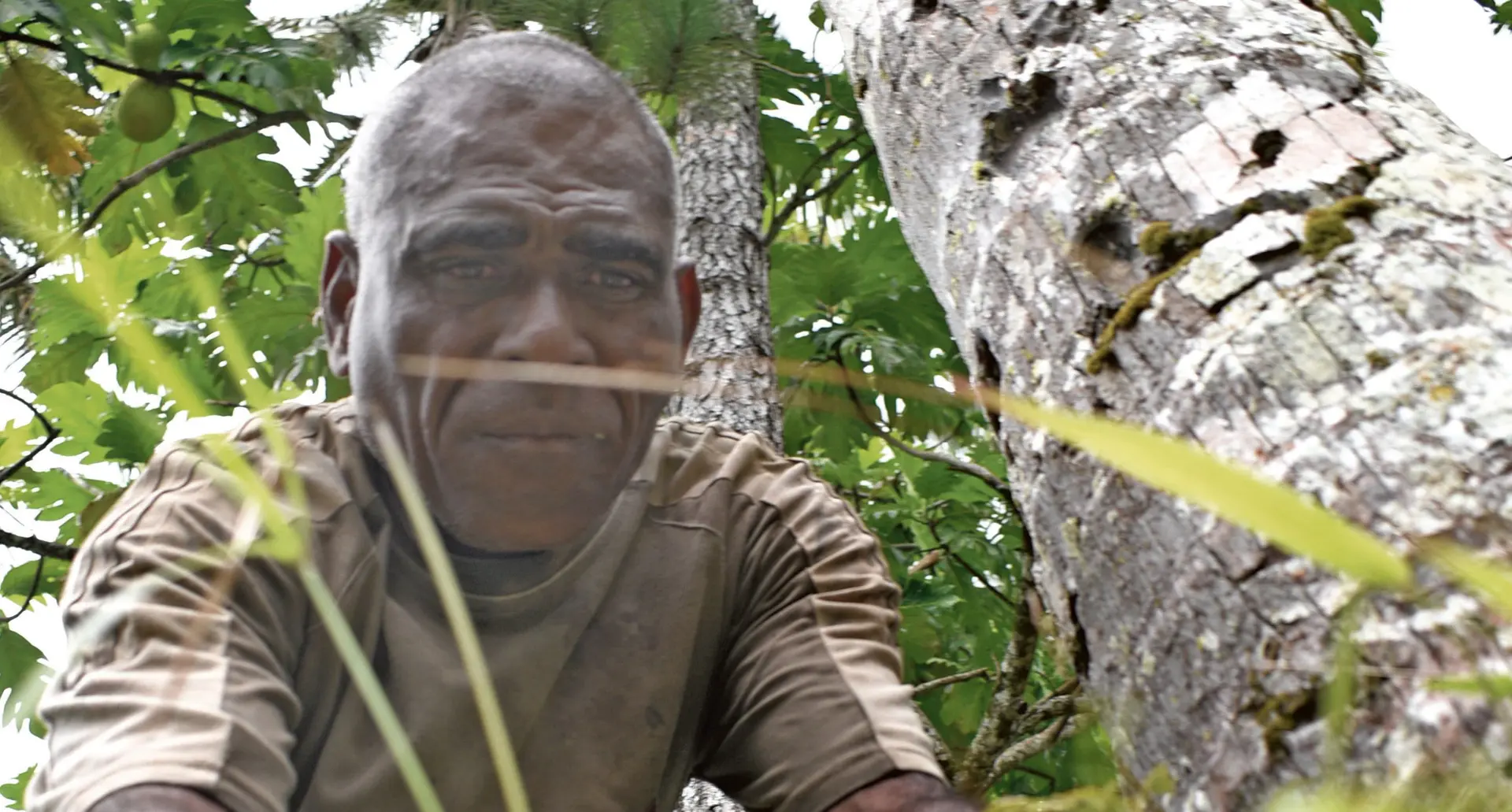 Suliano Meawai, 52, looks for leave for herbal medicine at Galoa Village in Serua on February 07, 2018.   Photo: Ronald Kumar 