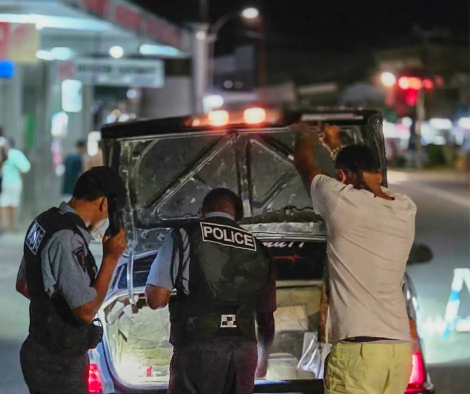 Police officers conducting checks