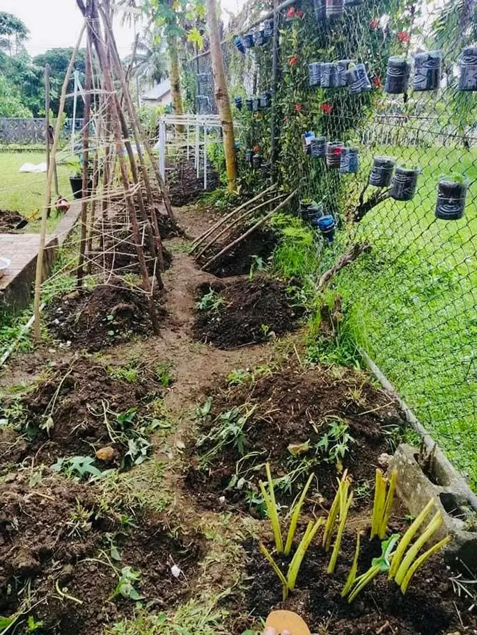 Filimoni Vosarogo’s frontyard garden. Photos: Filimoni Vosarogo’s Facebook page