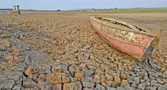 Like termite infestation, insurance companies say there is no cover for the El Nino weather phenomena. Photo: Reuters