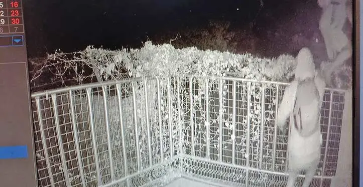 Surveillance camera footage showed the men continuously punched and kicked Mr Kim, even while on the floor, in the early hours of last Friday. 