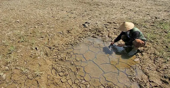 A man cleans his sickle in a puddle on the dry bed of Botok water reservoir in Sragen district, Central Java, Indonesia, July 11, 2023. Photo: Xinhua