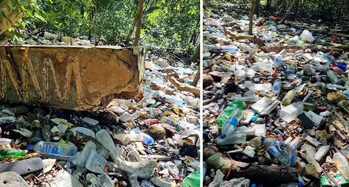 Plastic waste and other materials getting caught  among the mangroves  up the Bailey Bridge river at Laucala Beach, Suva. Photo: Kelera Sovasiga Tuisawau