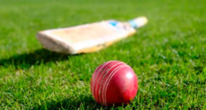 cricket-floodlit