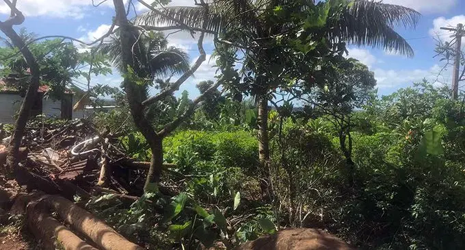 A piece of land in Makoi that was allegedly sold illegaly by scammers.    Photo: Wati Talebula