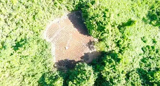 An aeriel view of a farm cultivating marijuana in Beqa.