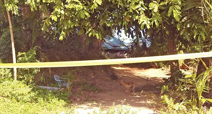 The crime scene at Naitata in Navua on June 25, 2024. Photo: Jone Salusalu