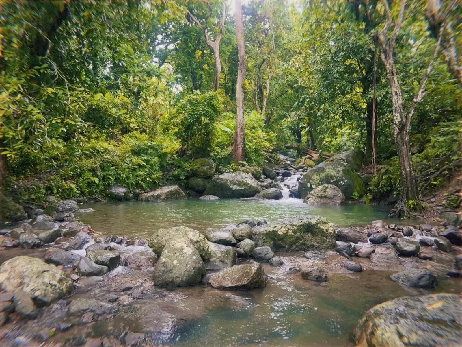 Nasaseru Pool in Wailevu East, near Savusavu.