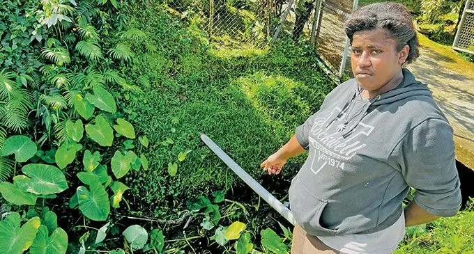 Litia Naisake shows where she saw the body of the woman in a drain along Daniva Road, Valelevu on June 15, 2022. Photo: Nolishma Narayan